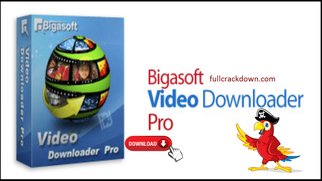 bigasoft video downloader pro